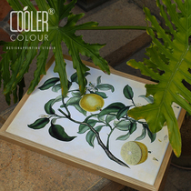 CoolerColour retro botanical map Lemon Fruits Fruits Nordic Medieval Décor Painting Posters Hanging