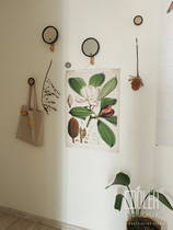 CoolerColour retro botanical picture Magnolia Flowers Nordic Decoration Painting Posters