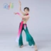 Thiếu nhi voan thanh lịch cổ điển múa trẻ em biểu diễn màn trình diễn vũ đạo trang phục cô gái sen hiệu suất quần áo - Trang phục