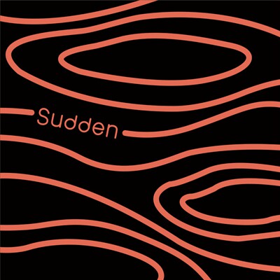 Sudden球鞋定制