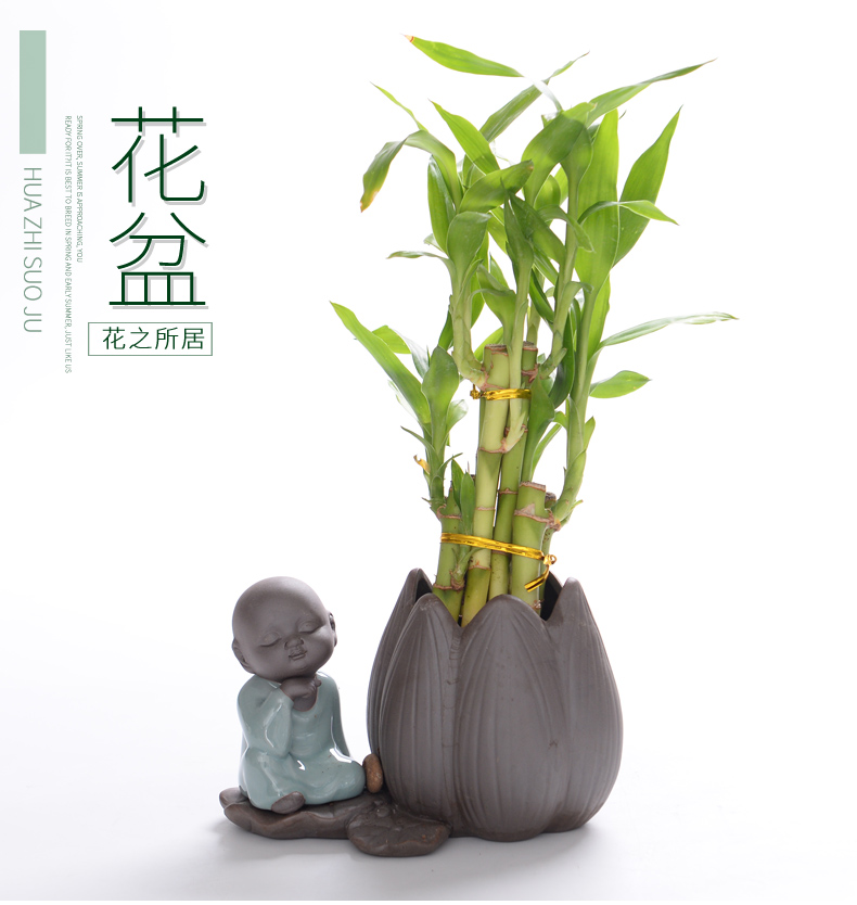 Violet arenaceous water raise small zen monk hydroponic container other copper wire grass desktop furnishing articles, fleshy white ceramic POTS