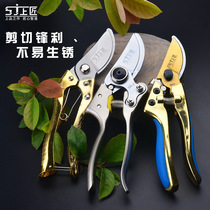 Top craftsman stainless steel gardening scissors manganese steel gardener pruning branches scissors fruit branch scissors trimmer pruning