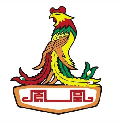 上海凤凰车件配件售后1号店