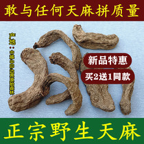 Authentic wild Gastrodia elata 250 kt grade Yunnan traditional Chinese medicine dry goods Zhaotong non small Caoba black pure natural