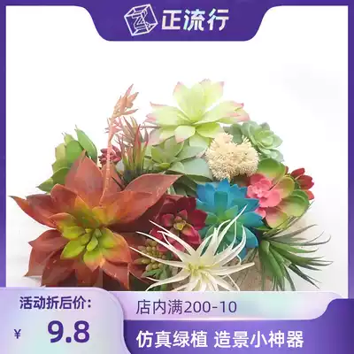 Hermit crab landscape artifact simulation fleshy green plant landscape cylinder climbing pet plant natural wind recommended decoration