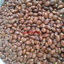 Lychee core red litchi kernel branch core large litchi core red litchi pill Chinese medicinal materials 500g