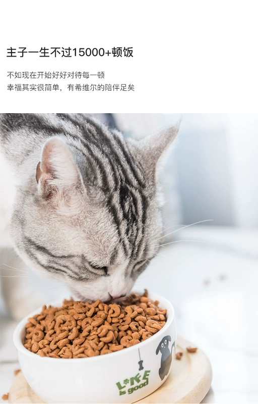 Thức ăn cho mèo ít muối tự nhiên Xiweier 20 gói nhỏ k cố gắng ăn 40g mèo con thành mèo khi mang thai, loại chung 1,5 kg - Cat Staples