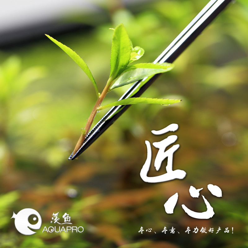 Envy fish AQUAPRO water grass tweezers 33cm straight head elbow water grass clip