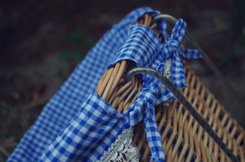 Panier pour vélo MANDY en vigne - Ref 2257836 Image 6