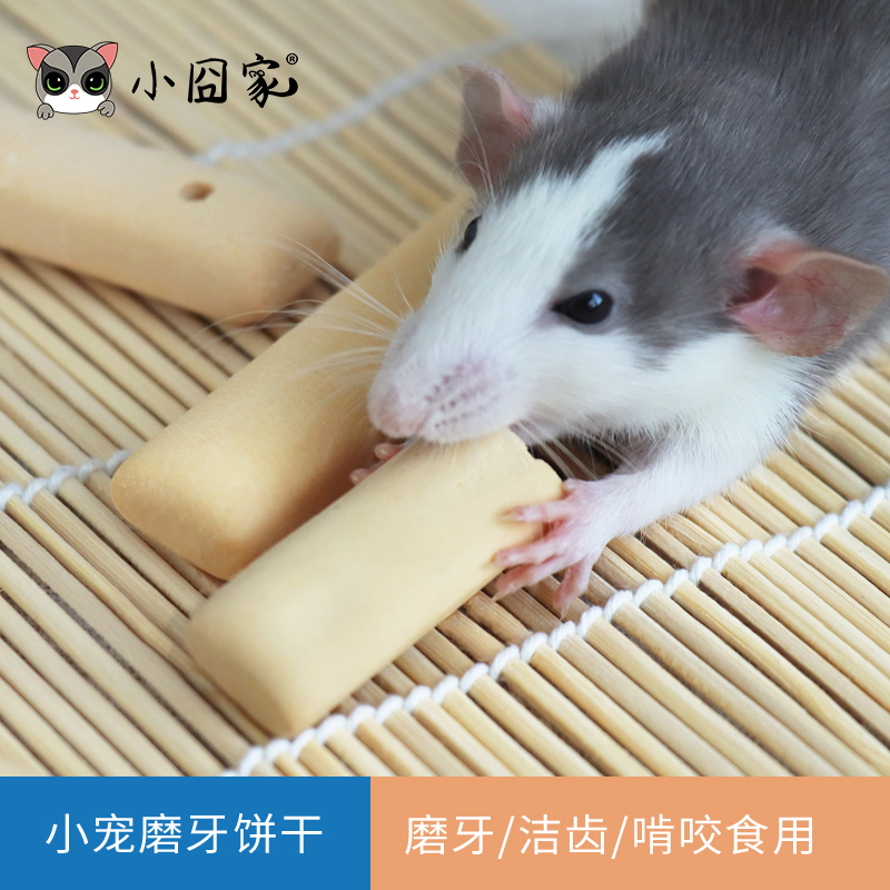 Small pet tooth cookies, milk and fragrance of honey squirrel hedgeDragon cat snack food feed food