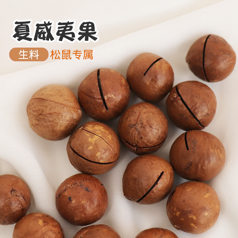 Squirrel Food Hawaiian Fruit Devil Snack Grinding Products Nuts Open Thick Shell Food Feed Macadamia Nuts