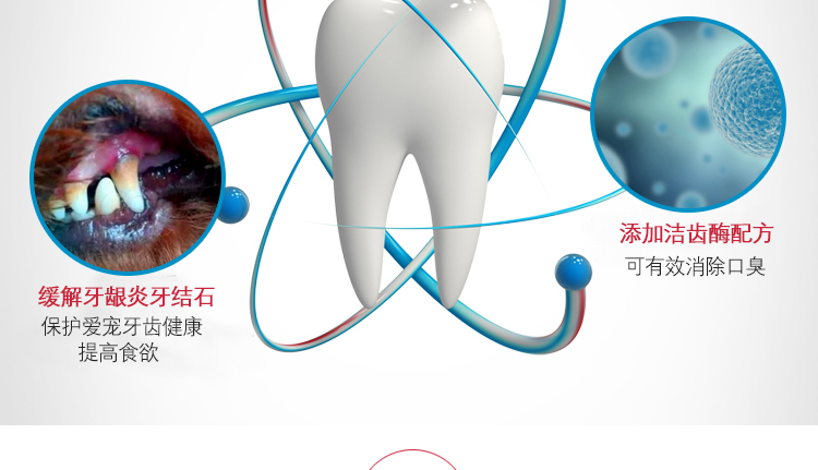 40 昵 洁 洁 洁 咬 泰 泰 泰 泰 除 除 除 除 除 除 除 除 除 除 除 除 小狗 小狗 小狗 小狗 bánh xương chó