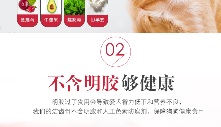 40 昵 洁 洁 洁 咬 泰 泰 泰 泰 除 除 除 除 除 除 除 除 除 除 除 除 小狗 小狗 小狗 小狗 bánh xương chó