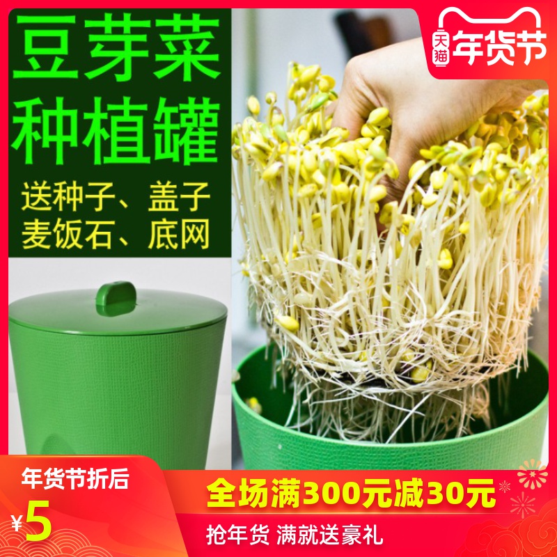 Купить Горшки для рассады Ростки фасоли ростки, выращенные в горшках ...