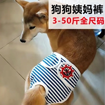 Dog raw pants pet supplies dog health pants female dog dog aunt pants menstrual pants female dog pregnancy
