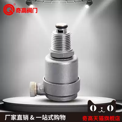 Qigao 304 stainless steel external threaded HVAC exhaust valve automatic bleed valve 4 minutes 6 minutes DN25