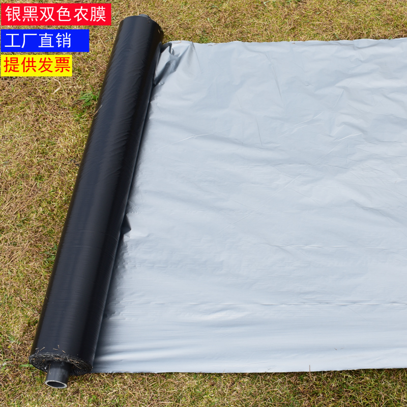 Film Silver black two-color film Silver gray plastic film Agricultural film Agricultural film Weeding film Weeding film Insulation and moisturizing