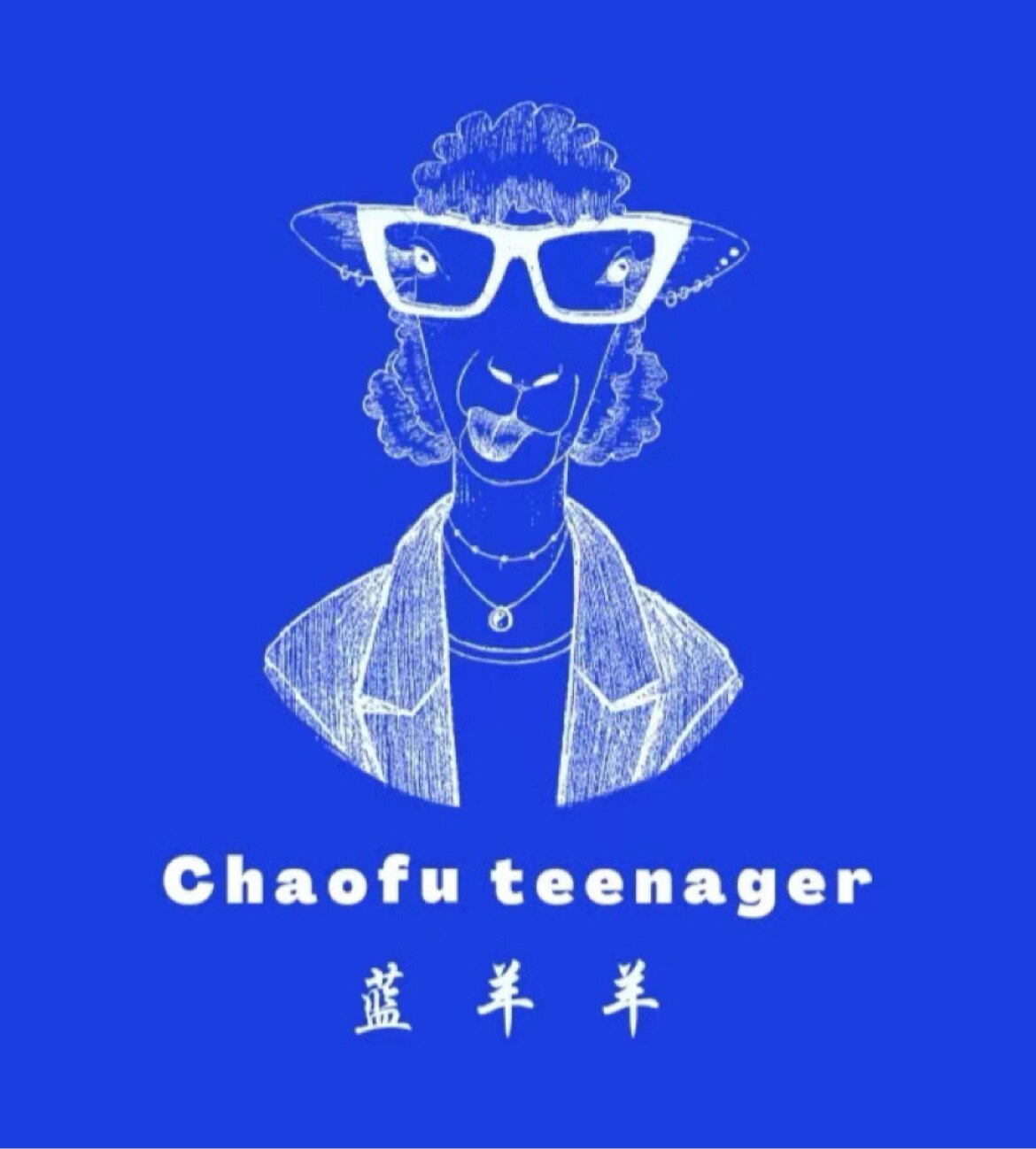 蓝羊羊潮服少年