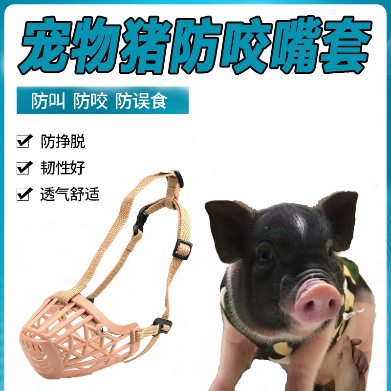 Little pig mouth cover to prevent bite from eating pet mouth cover cage to prevent miseating of Thailand's Dutch pig supplies
