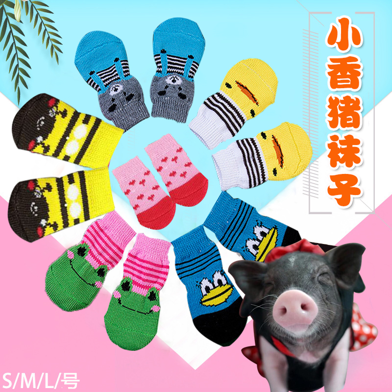 Small Fragrant Pig Shoes Pet Pig Clothes Socks Thai Mini Tennis Red small fragrant pig Pet Pig Wear items Clothing Items