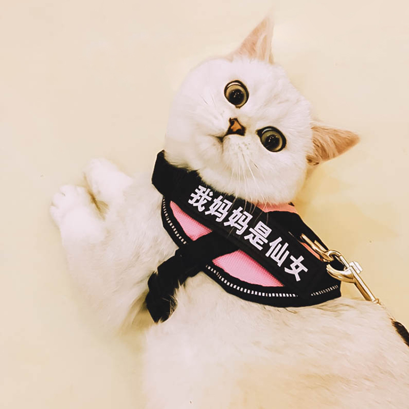 Cat rope cat chest strap out traction rope anti-break cat strap slip cat walk dog Shen device cat chain cat collar