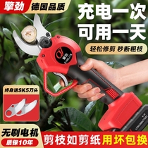 Electric pruning scissors Rechargeable electric scissors for cutting branches and fruit trees Lithium-ion powerful electric scissors Garden tree shearing tool
