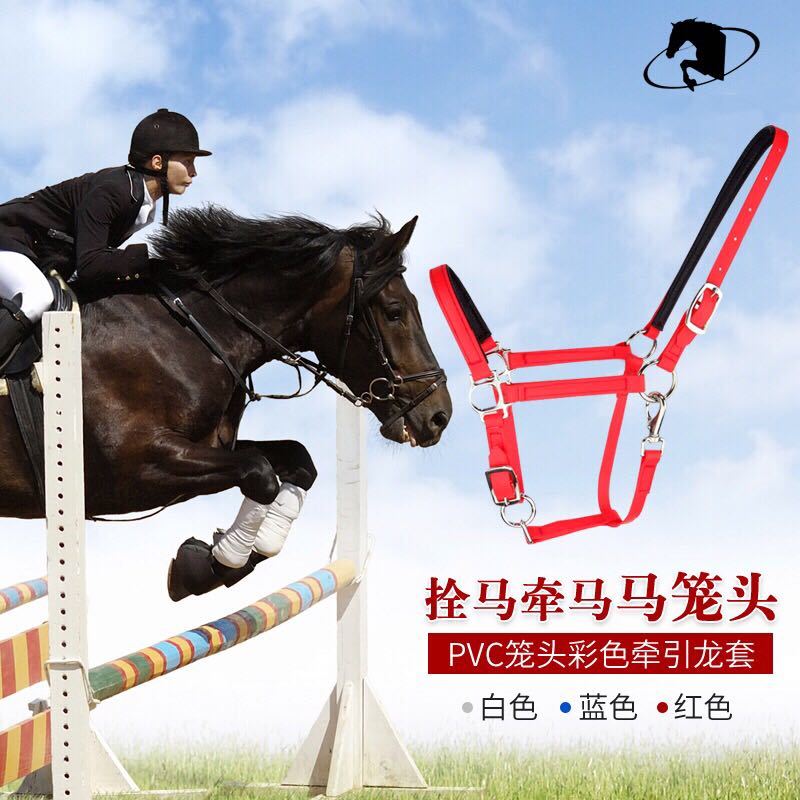 Harness Equestrian traction Malone head bolt Horse bridle PVC color dragon sleeve Horse dwarf Malone sleeve Horse with cage sleeve