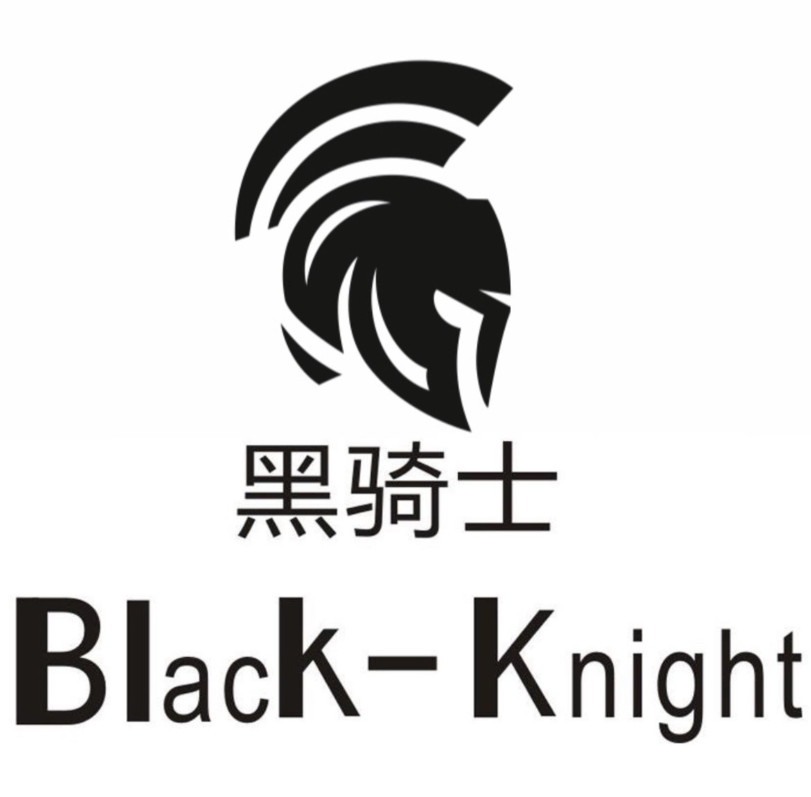 黑骑士工业的LOGO