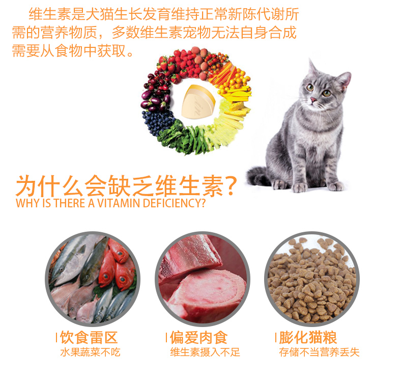 Mèo Med với vitamin tổng hợp thú cưng mèo con mèo dinh dưỡng lông taurine mèo vitamin b mèo liếm - Cat / Dog Health bổ sung Sữa cho chó con giá rẻ
