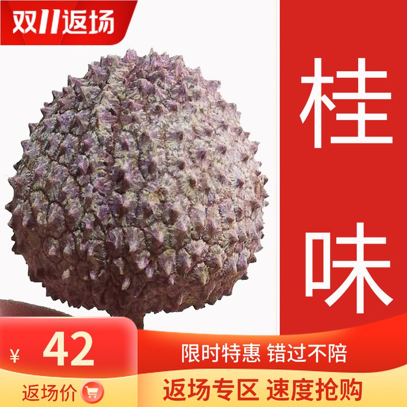 21-year new Guangdong litchi dried nuclear small meat thick sun-dried super-grade cinnamon glutinous rice chicken mouth Li 500g