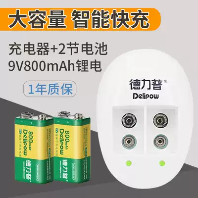 Delipu 9v rechargeable battery 6f22 lithium battery set 9v800mAh battery charger set