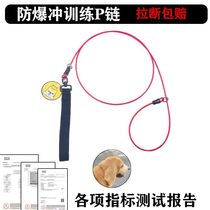 Dog leash explosion-proof punch chain adjustable puppy collar large dog walking rope professional competition leash p rope