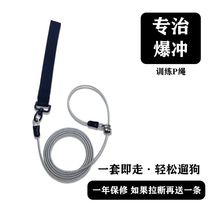 Dog rope training dog p chain explosion-proof dog walking rope Labrador dog chain medium-sized dog p-chain large dog dog leash