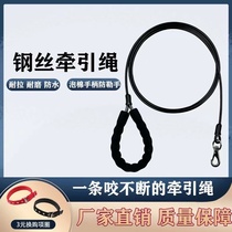 Dog leash large dog medium dog rope dog walking explosion-proof Golden Retriever steel wire dog chain extended
