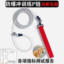 Puppy leash dog collar small dog p chain medium-sized dog explosion-proof p-rope dog leash large dog chain dog leash
