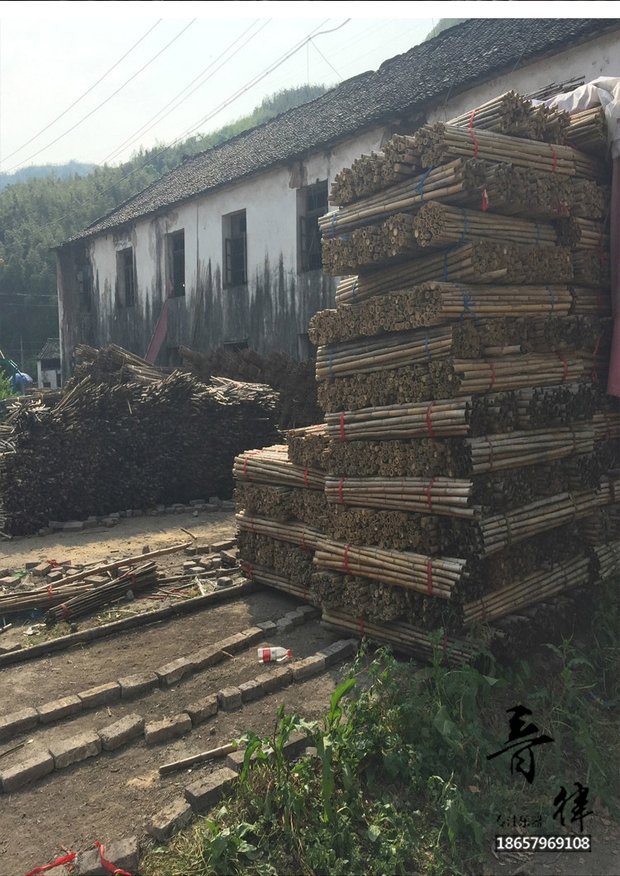 Hai sáo, tre, sáo, gió quốc gia, nhạc cụ, sáo trúc, đen, Chen, sáo, Wei Wu, sinh viên, người mới bắt đầu thực hành tấu sáo