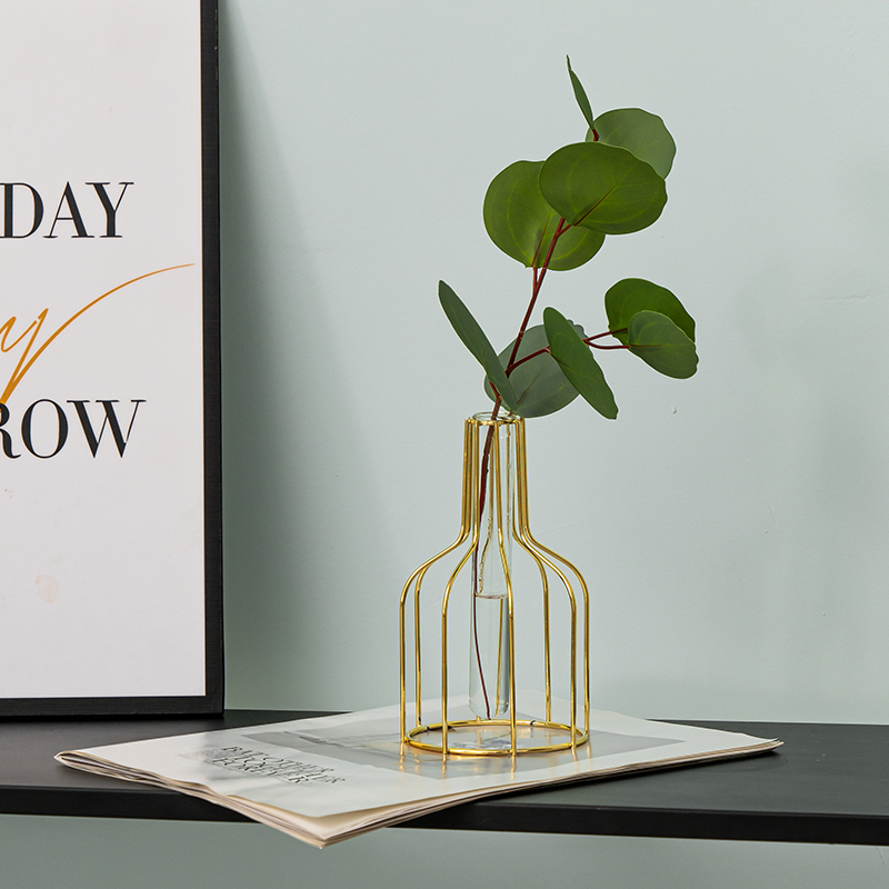 Nordic ins style small vase simple modern light luxury iron transparent glass hydroponic living room model room decoration