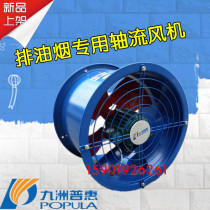 Jiuzhou Puhui EG low noise industrial exhaust fan powerful kitchen exhaust pipe axial flow fan