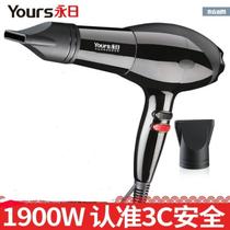 Perpetual Day 8502 High Power Hair Salon Professional Electric Hair Dryer Silent Barber Shop For Home Cold Hot Air Wind 1900W-Wind 1900W
