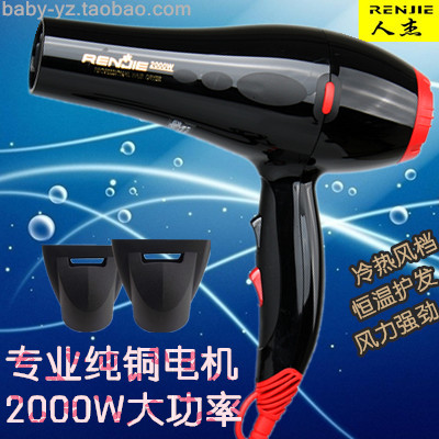 Human Jie 836 Hairdryer Hairdryer Hair Dryer Hair Salon Hair Salon Quick Dry High Power Cold Hot Air Blower 2000W