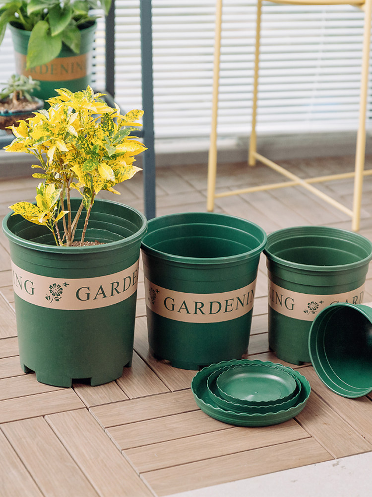Thickened flowerpots special clearance 1 2 3 5 Plastic flowerpots round with pallets for household simple gold Gelon pots