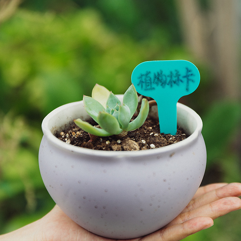 Multi Meat Variety Label Waterproof Gardening Plastic Flower Pot Label Mark Flower Plant Name Identification Card Small Inserts
