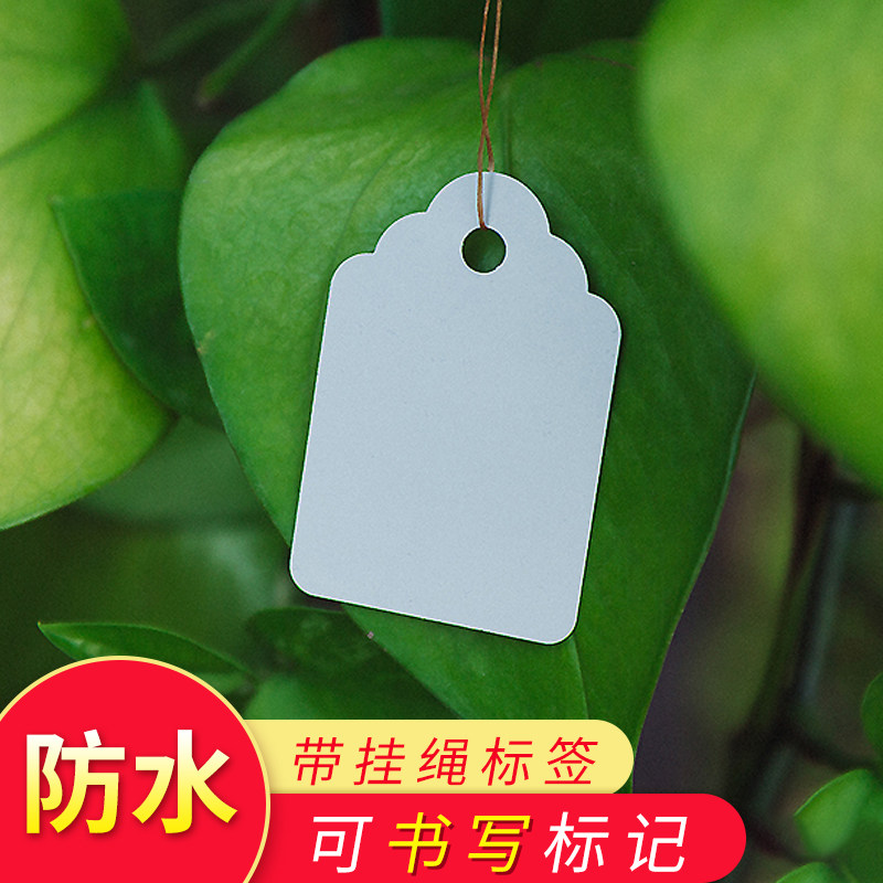 100 sheets with rope plastic label plant hanging sign gardening potted plant small listed multi-meat label mark ID card
