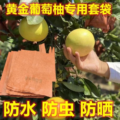 Special Paper Bags for Grapefruit, Grapefruit Bagging Paper, Fruit Growing Bags, Waterproof, Insect-Proof, Sun-Proof, Direct Sales from the Manufacturer, Free Shipping Special Paper Bags for Grapefruit, Grapefruit Bagging Paper, Fruit Growing Bags, Waterproof, Insect-Proof, Sun-Proof, Direct Sales from the Manufacturer, Free Shipping