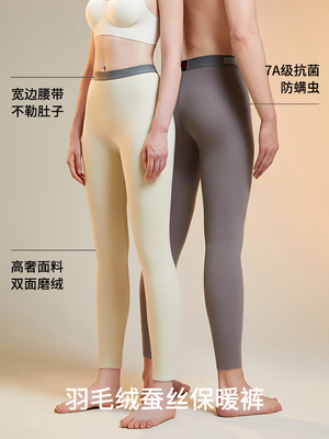 2026年1月3日更新【万能白菜价】