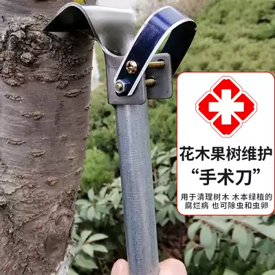 Gardening tools, fruit tree seedlings, Wood scraper, pests, Bud knives, grafts, bark, special agricultural gardens