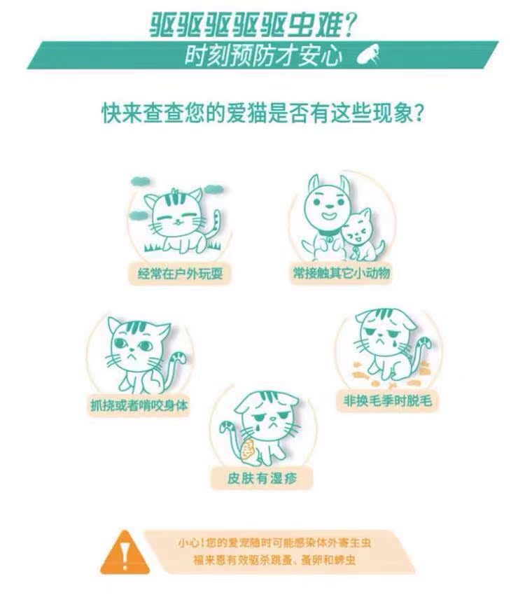 Cat Inn Fleming In vitro Deworming Drops Cat Deworming Ngoài Fleas 3 Pack - Cat / Dog Medical Supplies giá máy siêu âm thú y