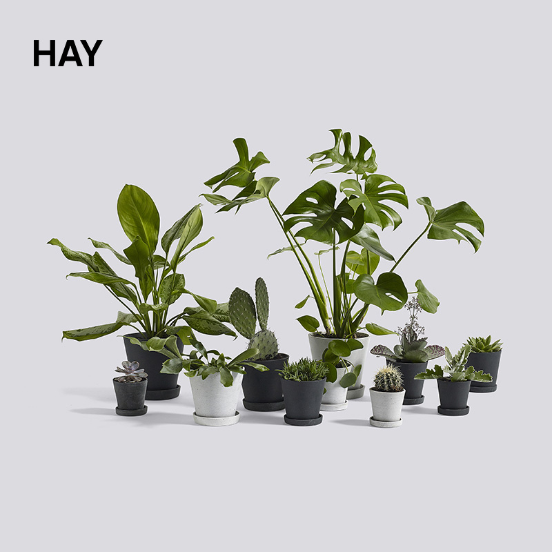 HAY Flower Pot With Saucer Nordic Wind minimalist about Porto Flowers Basin of the Basin Care XXL XXXL