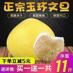 authentic yuhuan wendan pomelo fresh chumen baixin wendan honey pomelo shipping taizhou specialty products