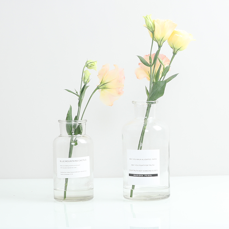 Bình hoa nhỏ cắm hoa thủy tinh Nhật văn retro - Vase / Bồn hoa & Kệ chậu cây treo ban công